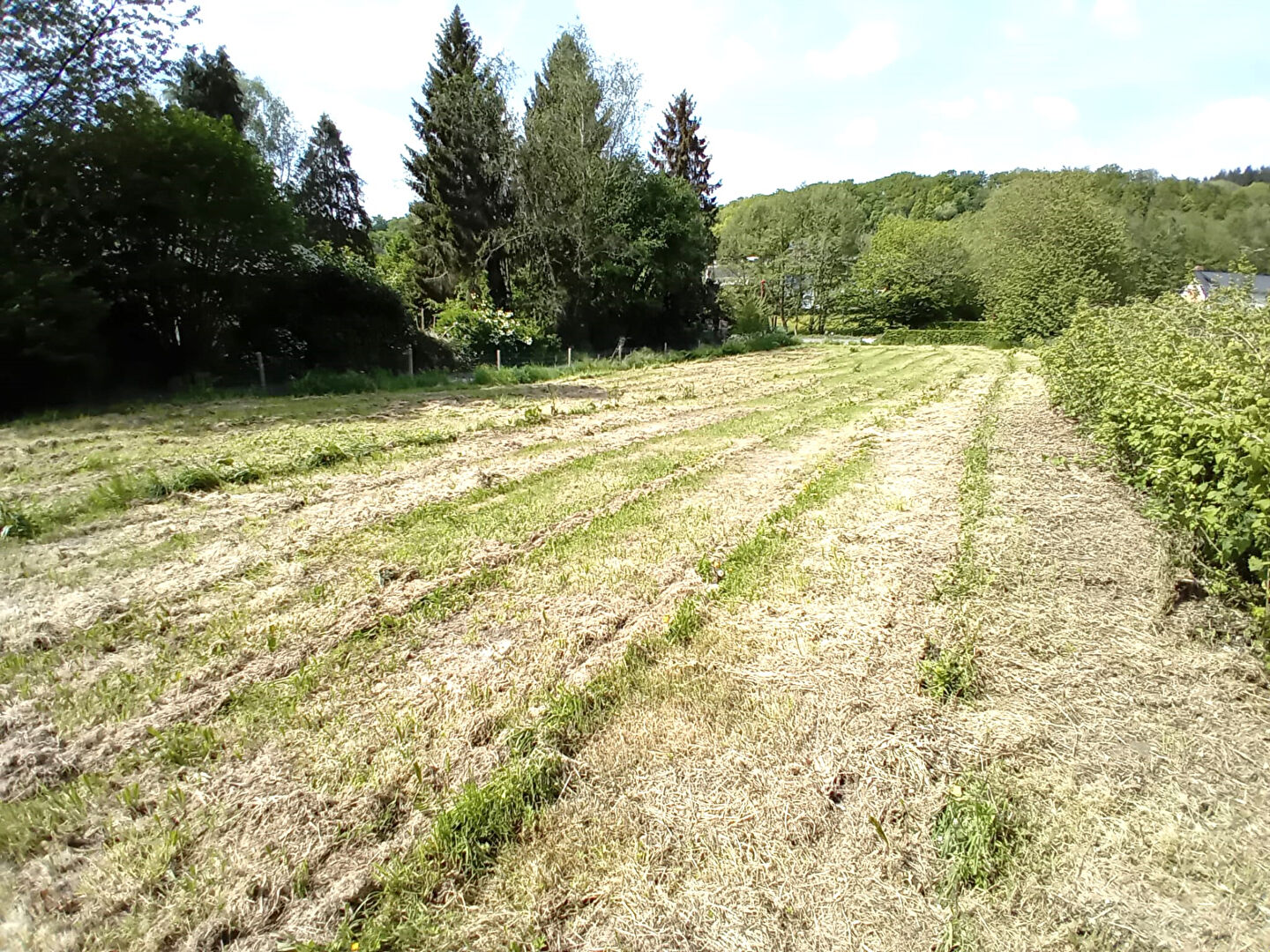 Terrain Saint Germain Sous Cailly 1010 m2