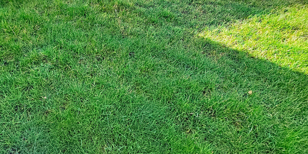 Terrain Bonsecours 255 m²