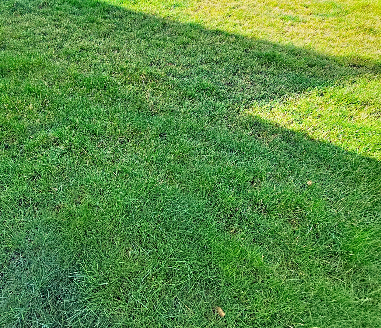 Terrain Bonsecours 255 m²